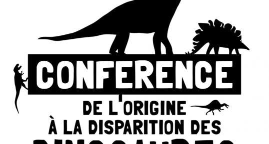 Conférence sur les dinosaures - Ronan Allain - 2ème