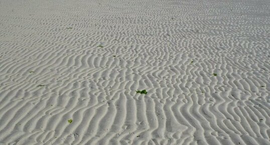 Rides de sable actuelles