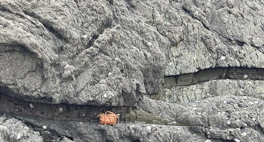 Zoom sur le filon de dolérite dans la roche migmatite près de Saint Malo