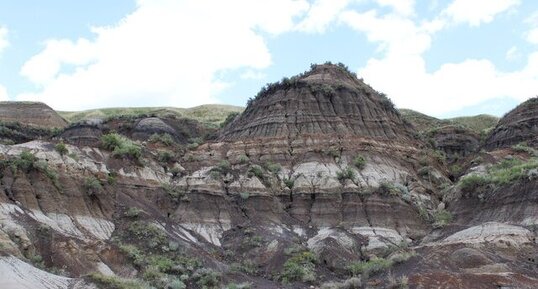 Coupe dans la formation Horseshoe, badlands à Royal Tyrrell Museum