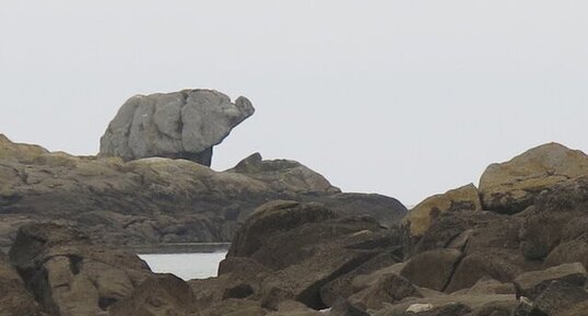 Rocher de l'Eléphant de l'Île Chausey