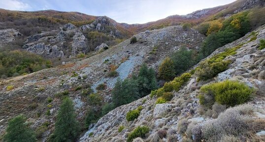 Corse - Piobetta - Gneiss