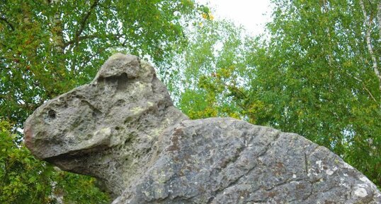 Grès de la Tortue, La Hotée du Diable, Environs de Coincy(02)