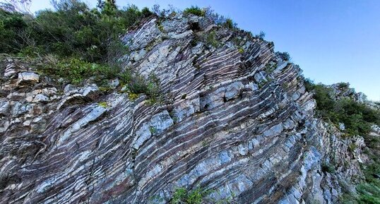 Radiolarites