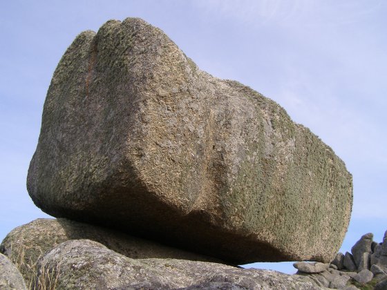 Logan Rock Treen closeup