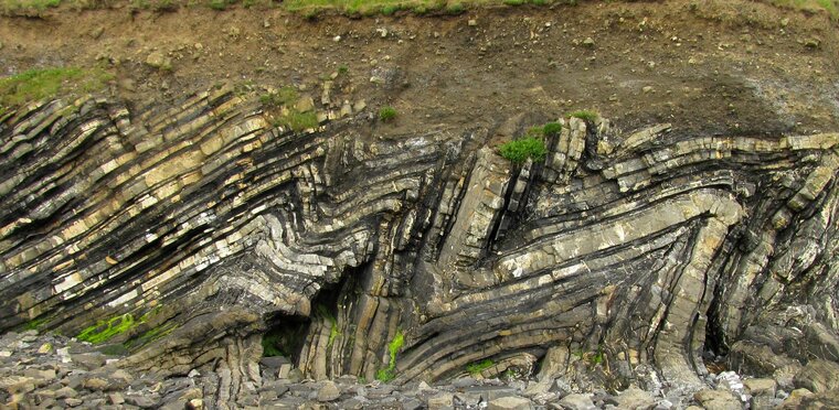 Loughshinny folds