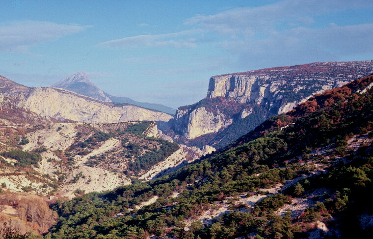 verdon