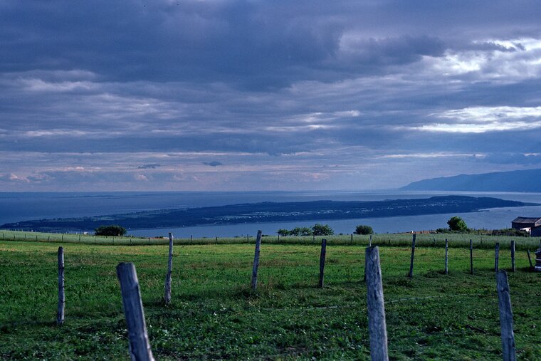 coudres