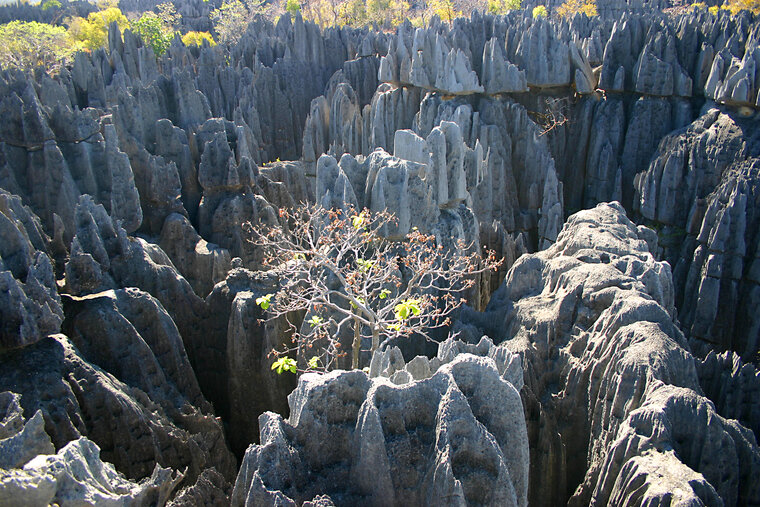 Tsingy de Bemaraha