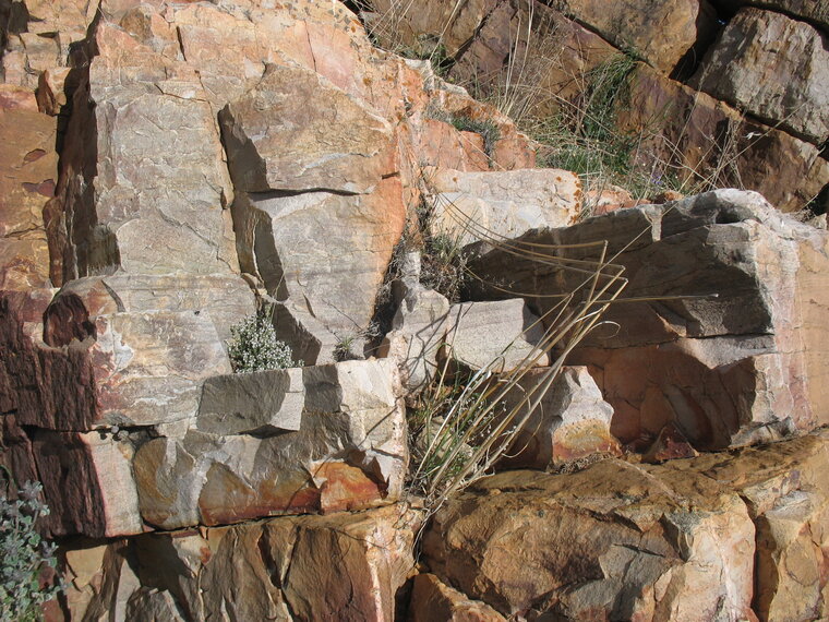 Armorican quartzite Berrueco Saragossa Spain