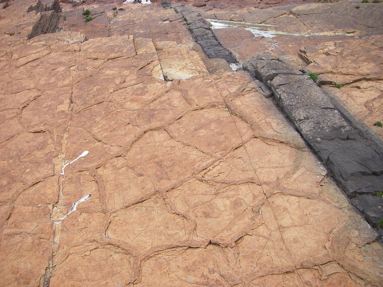 Lamprophyre dike Birsay Orkney