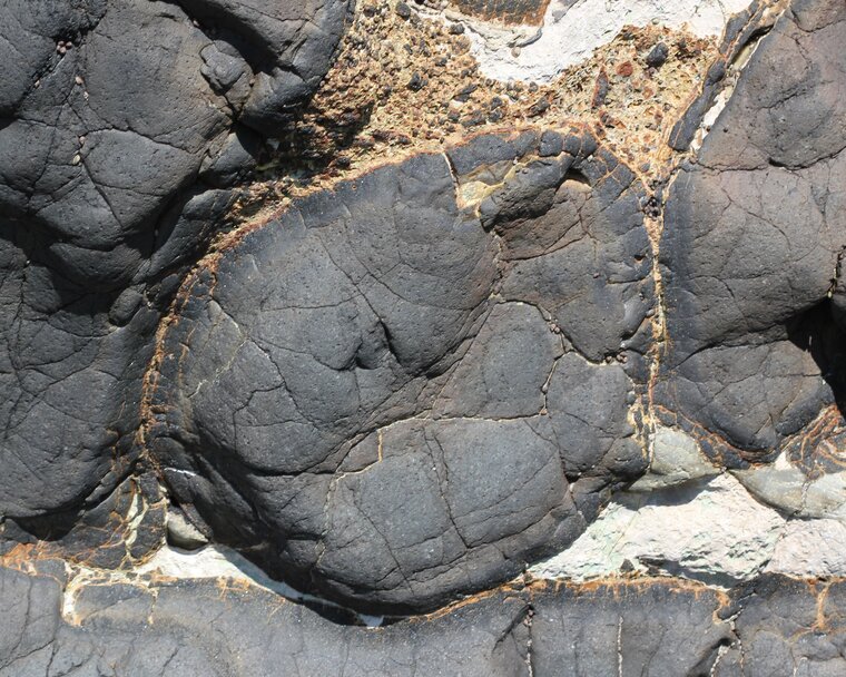 Pillow lava at Oamaru